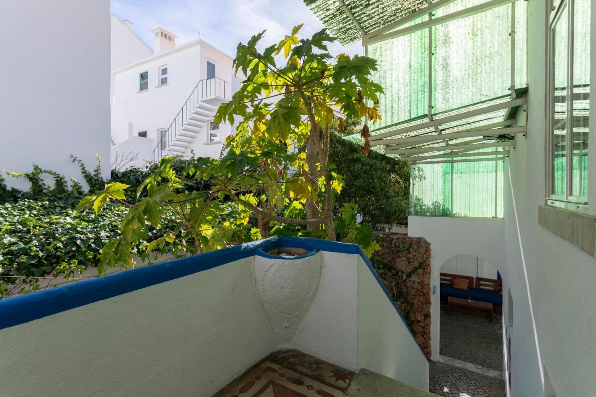Le Penguin Hostel فارو المظهر الخارجي الصورة